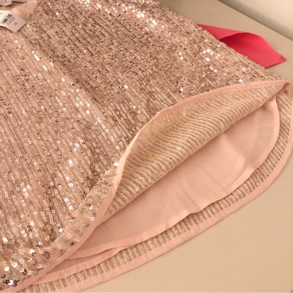 NWT. Ann Taylor LOFT Silver Sequin Baby Pink Camisole Tank Top. XS - Picture 5 of 12